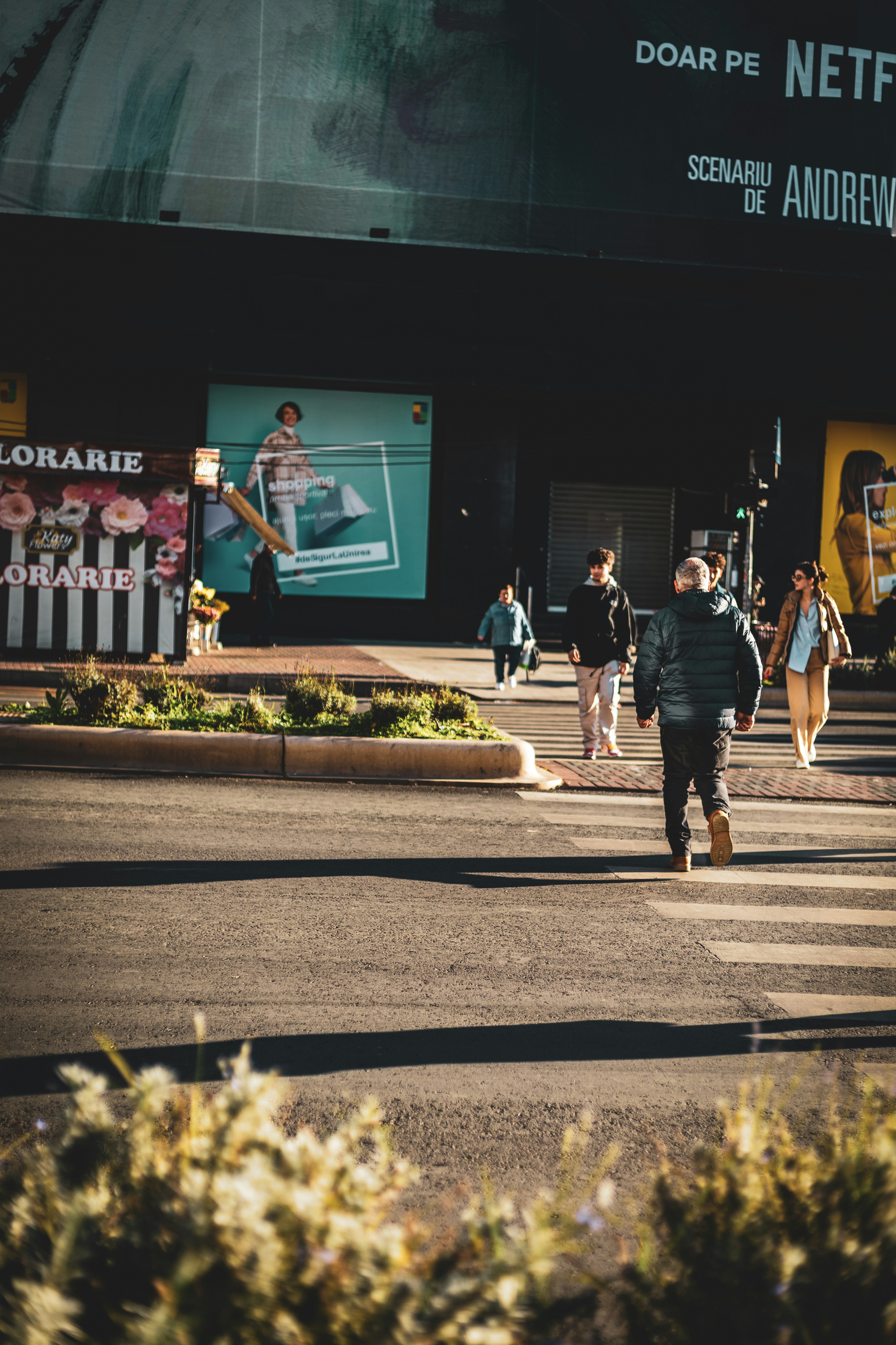 Berlin Sky LUT — cool moody northern European color grade