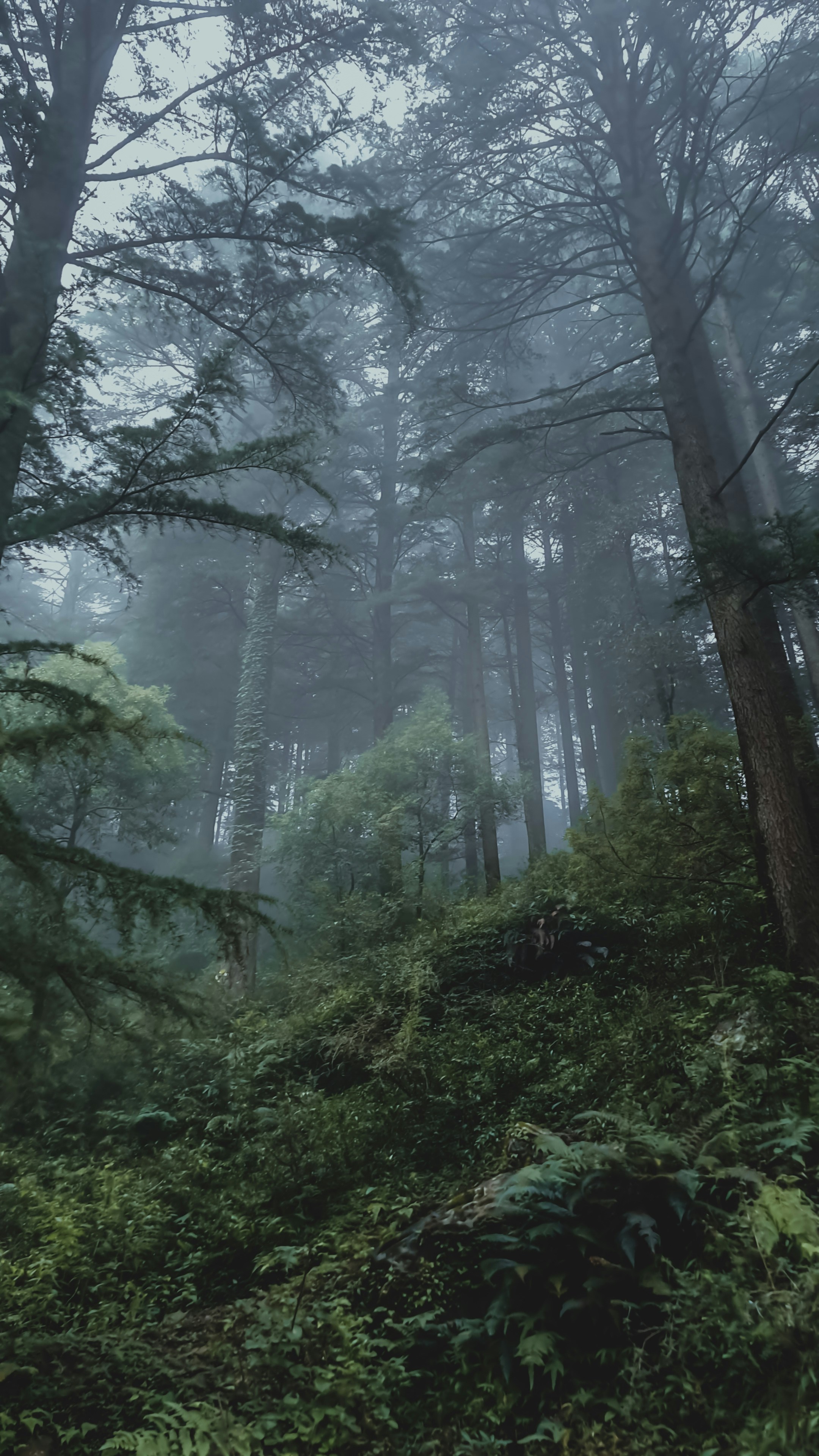 Chrome 01 LUT — clean editorial color grade