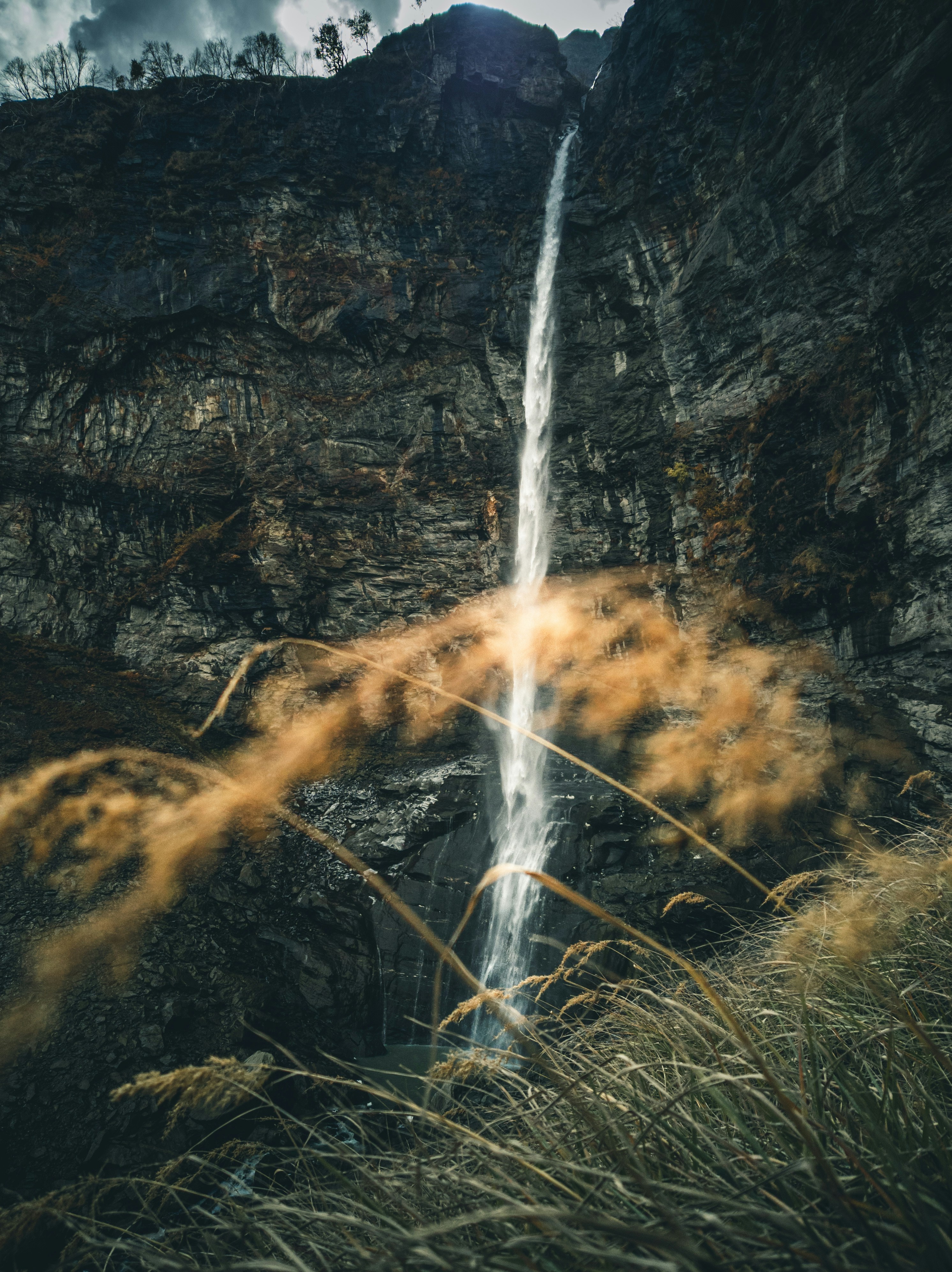 Film Print LUT — analog film emulation color grade